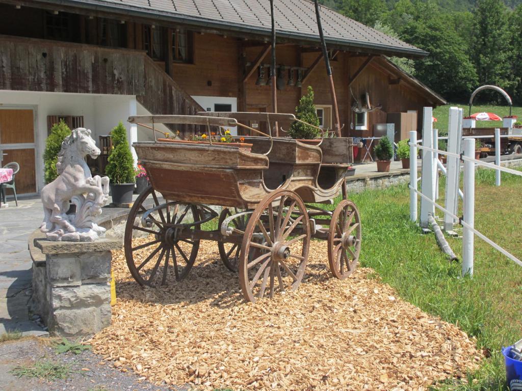 Eichhof Brienzwiler Berner Oberland Villa Luaran gambar