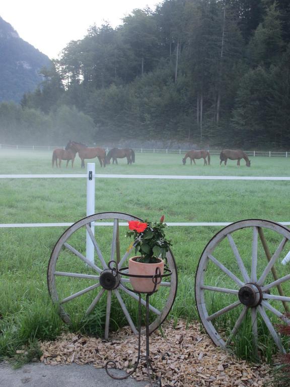 Eichhof Brienzwiler Berner Oberland Villa Luaran gambar